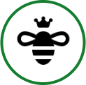 Icon 2